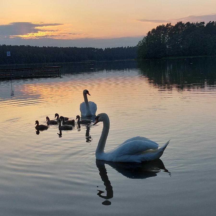 Domek Letniskowy U Marcina I Ani Борськ Екстер'єр фото